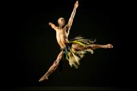 Platinum Live: Dallas Black Dance Theatre